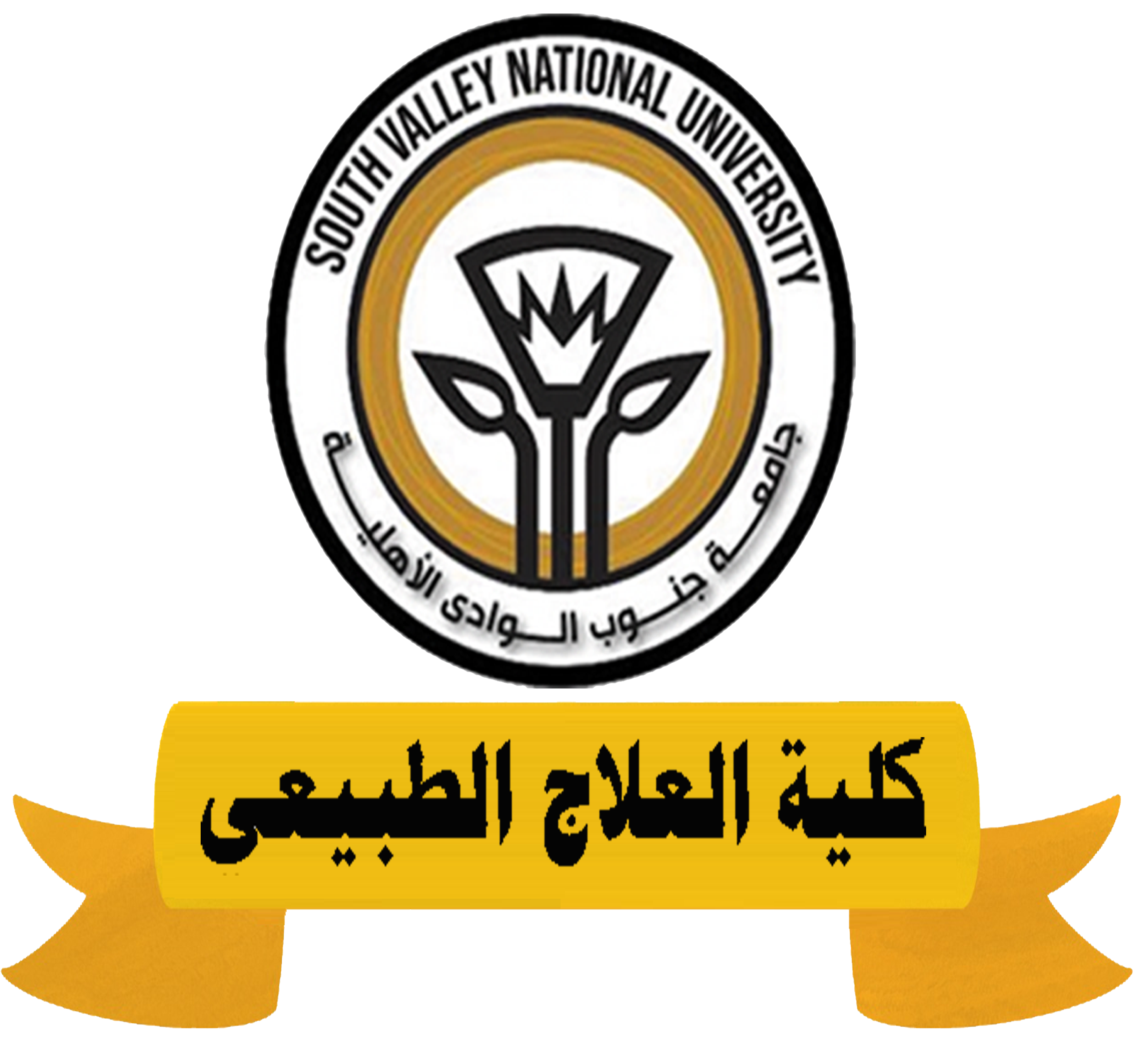 كلية العلاج الطبيعي